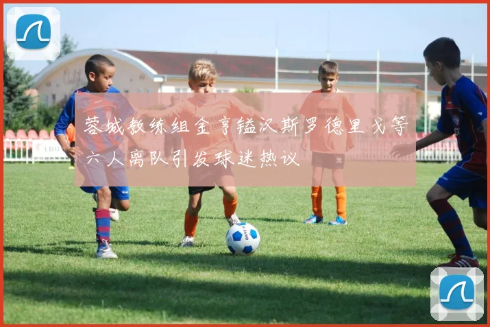 蓉城教练组金亨镒汉斯罗德里戈等六人离队引发球迷热议