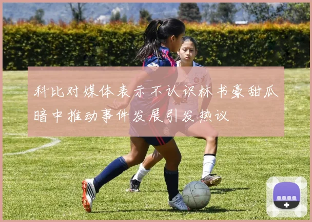 科比对媒体表示不认识林书豪甜瓜暗中推动事件发展引发热议
