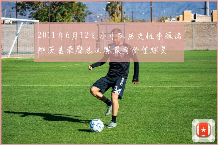 2011年6月12日小牛队历史性夺冠诺维茨基荣膺总决赛最有价值球员