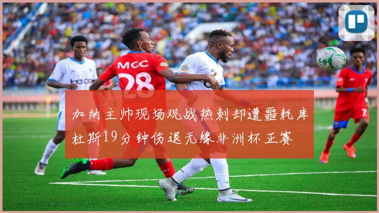 加纳主帅现场观战热刺却遭噩耗库杜斯19分钟伤退无缘非洲杯正赛