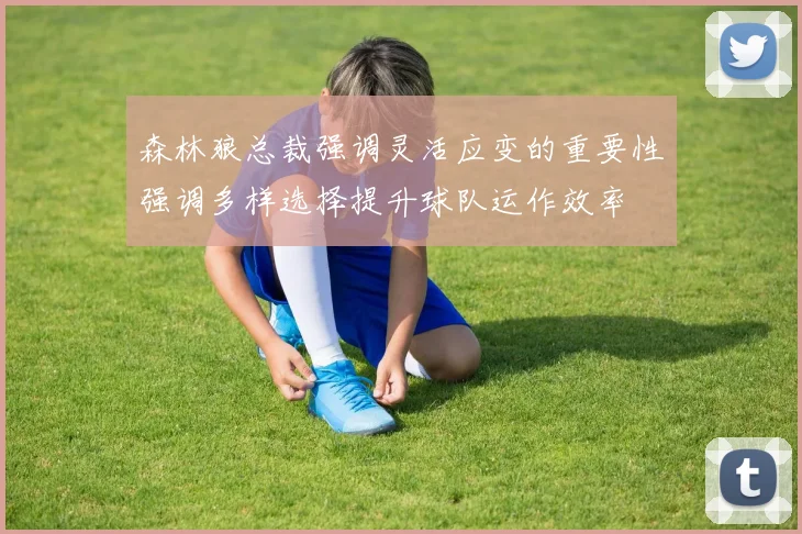 森林狼总裁强调灵活应变的重要性强调多样选择提升球队运作效率